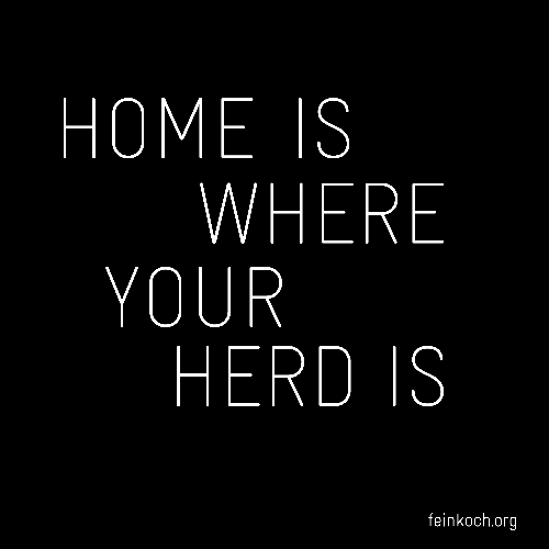 Facebook_herd 17.57.25
